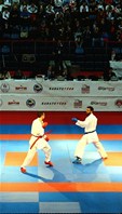 Gençlik ve Spor Bakanı Akif Çağatay Kılıç, Sinan Erdem Spor Salonu'nda düzenlenen 50. Avrupa Büyükler Karate Şampiyonası'nı izledi.